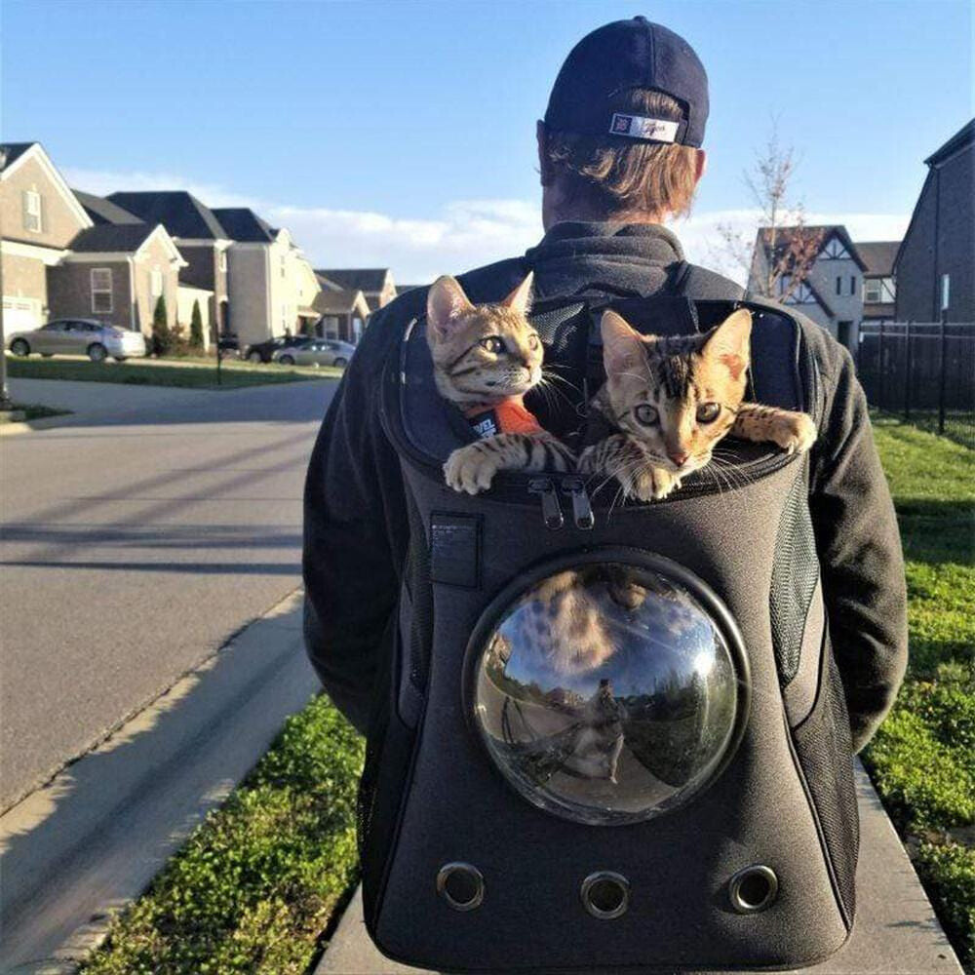 Kitty Voyager - Premium Cat Carrier Backpack Happy Tails